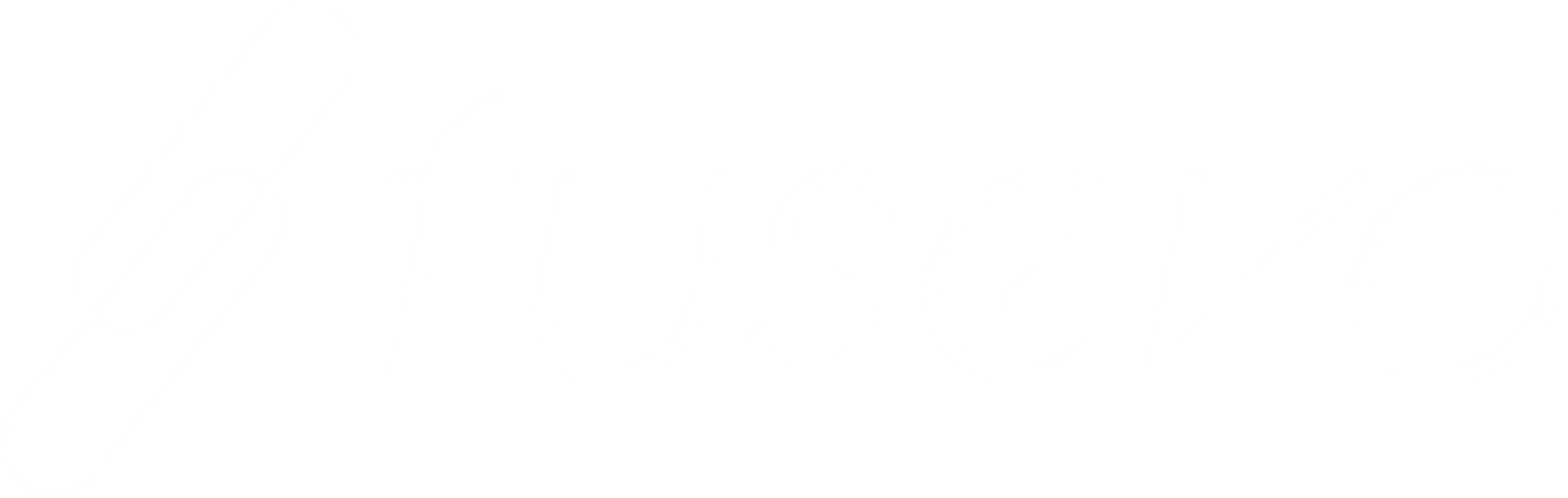 logo fusevo webdesign